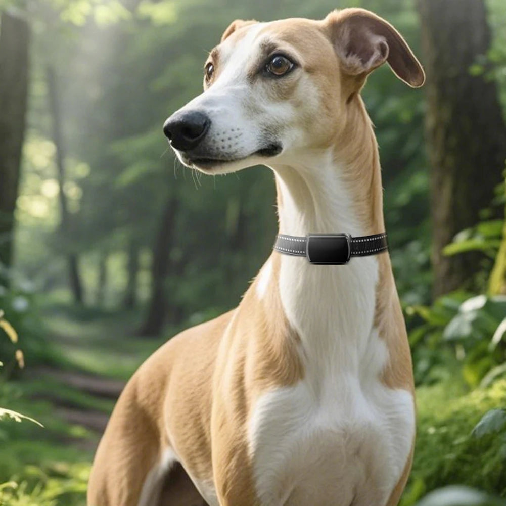 Pet GPS Tracker with Adjustable Collar – 4G Smart Locator for Dogs & Cats (IP68 Waterproof)